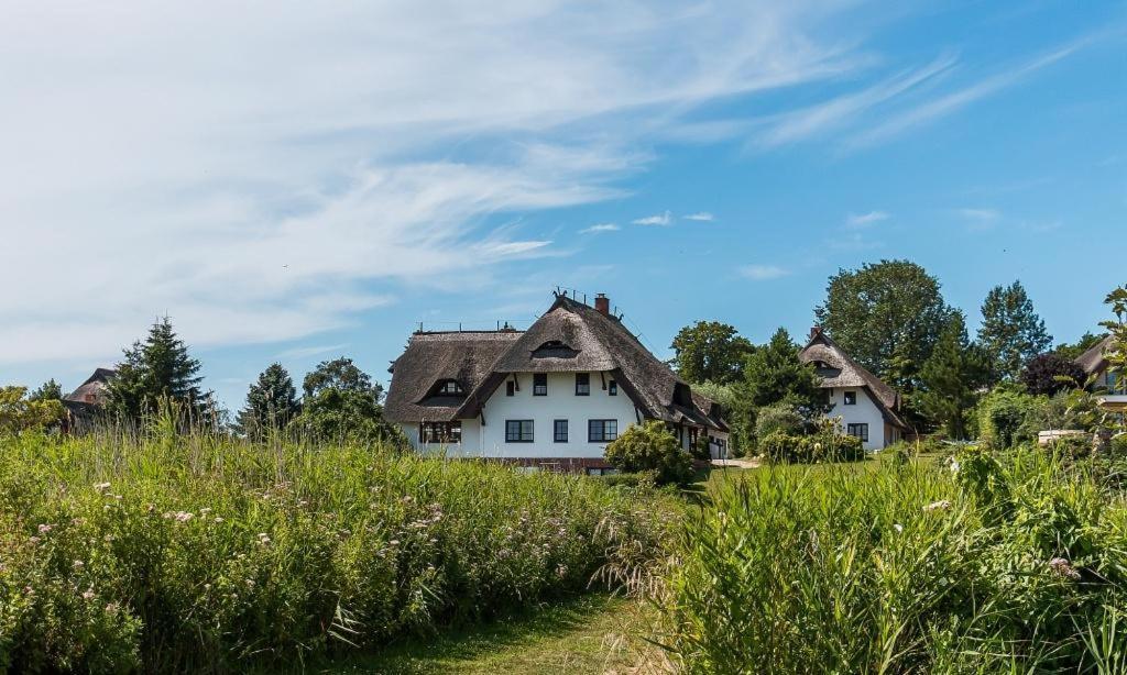 Haus Am Bodden 03 Apartment Ahrenshoop Ngoại thất bức ảnh
